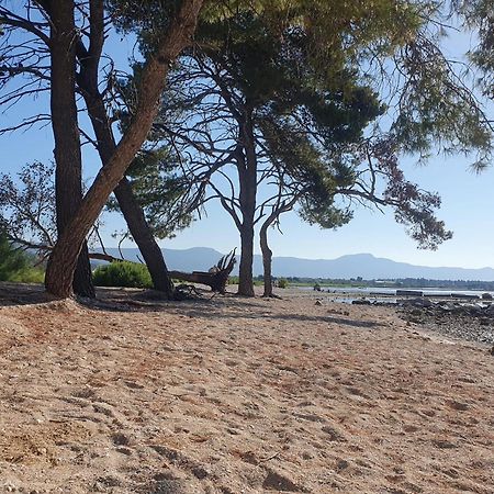 Penthouse Apartman Marcelina In Trogir Exterior foto
